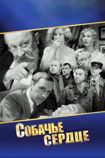 Евгений Евстигнеев